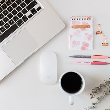 我该选择哪种引蜘蛛模式效果好？