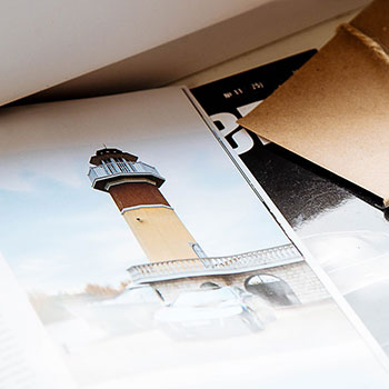 蜘蛛池授权日期如何计算？